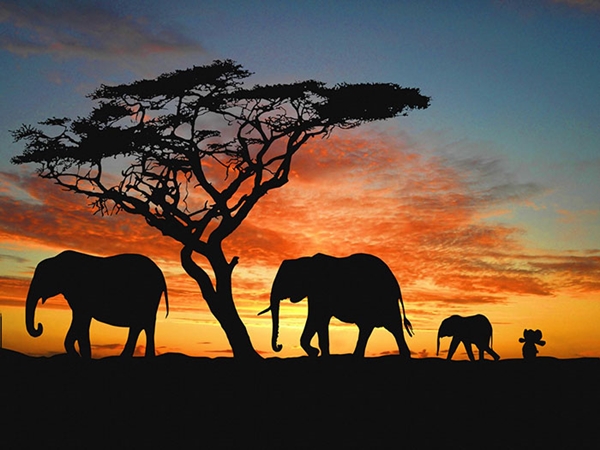 elephant9