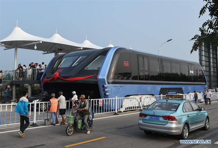 elevated bus2
