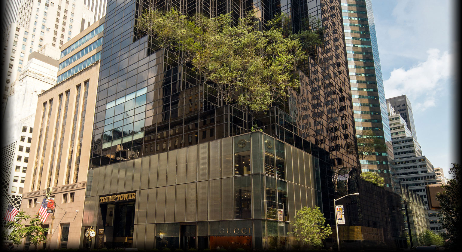 homepage-bg-tree