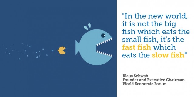 fish_c