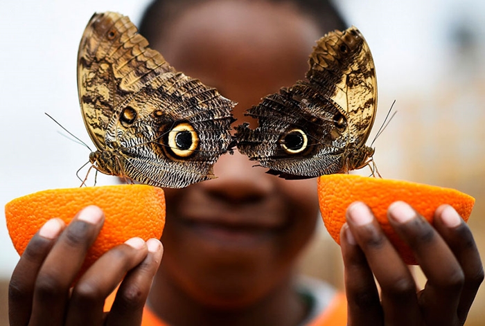 reuters15