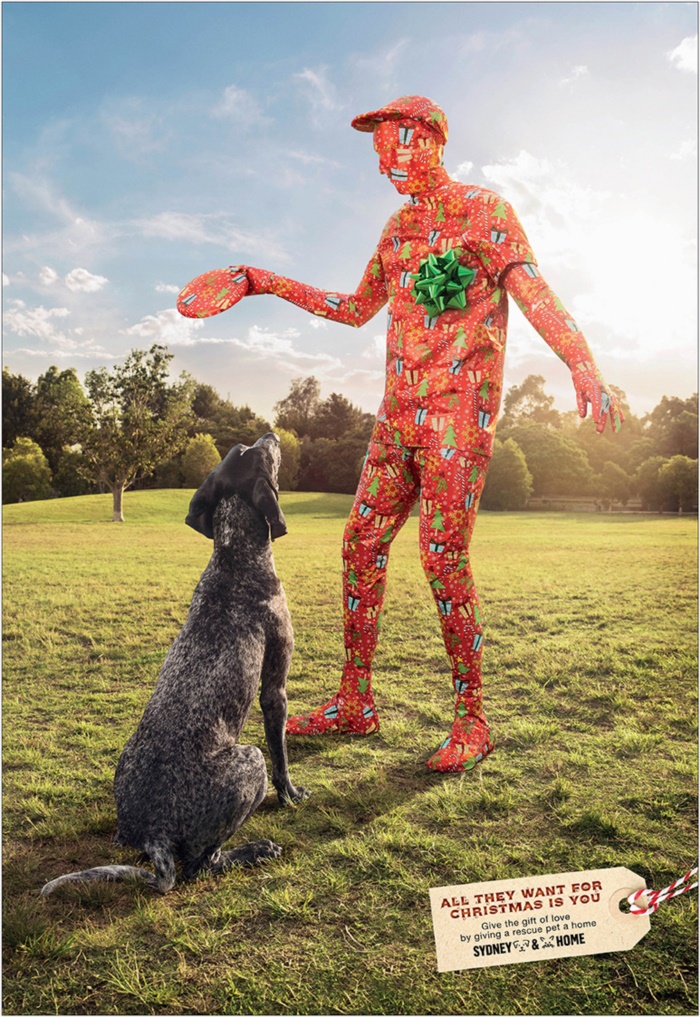 sydney-dogs-cats-home-sydney-dogs-cats-home-gift-print-390664-adeevee