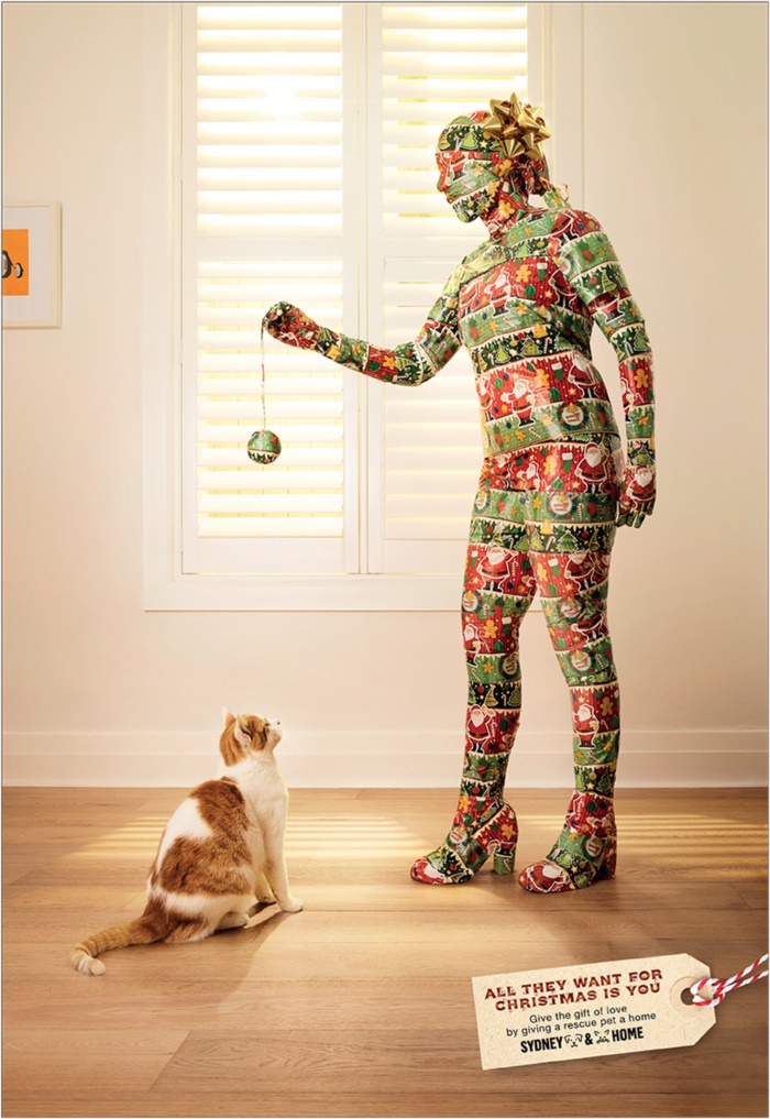 sydney-dogs-cats-home-sydney-dogs-cats-home-gift-print-390665-adeevee