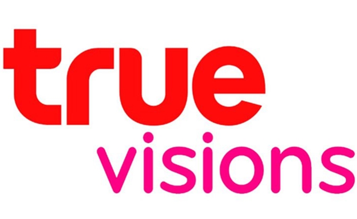 true-vision-logo