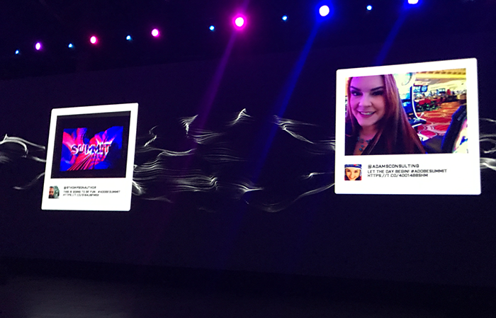 adobe7