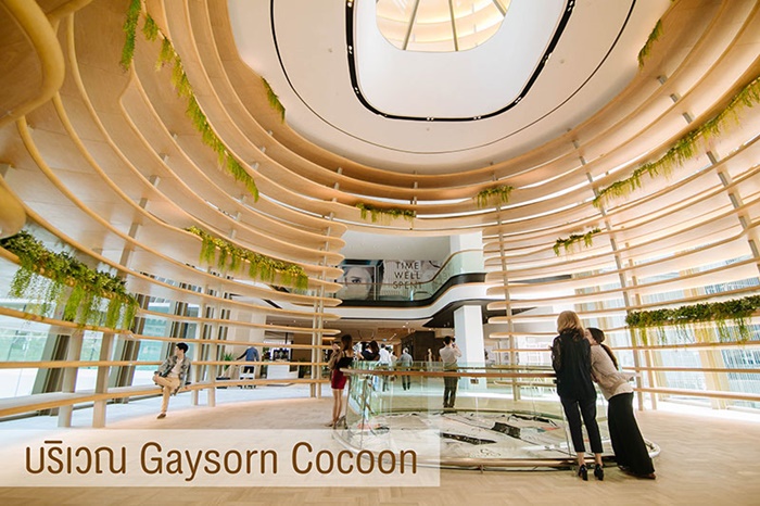 Cocoon