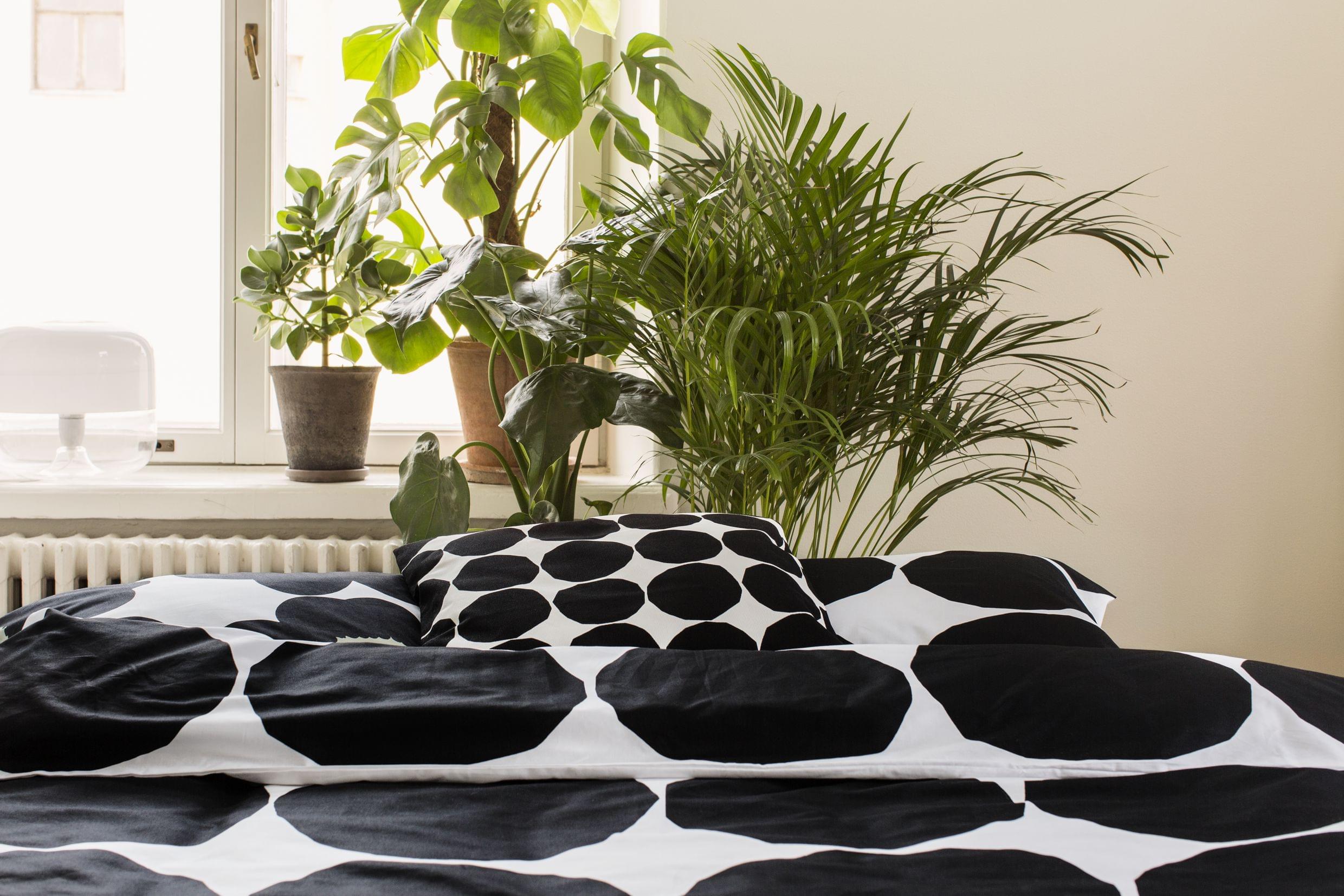Continuing_Collection_Home_44_72223_13