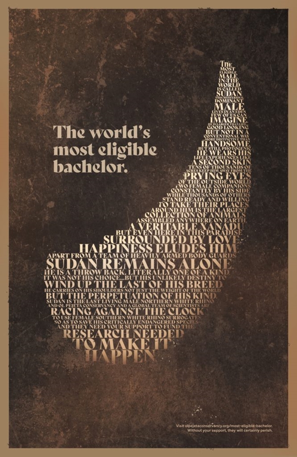 TheMostEligibleBachelor-666x1024