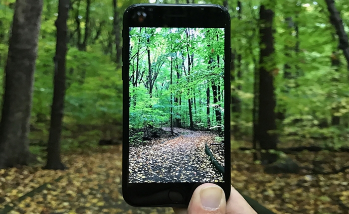 iphone-7-forest