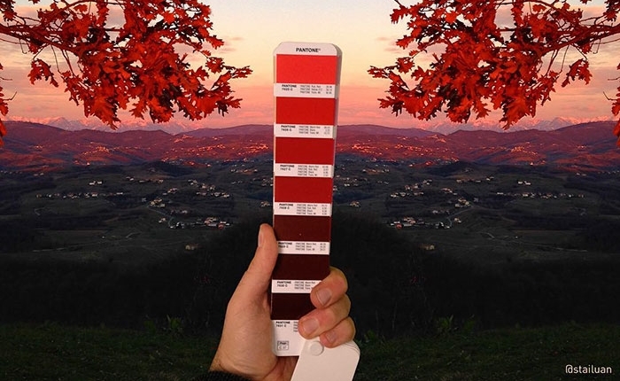 pantone1