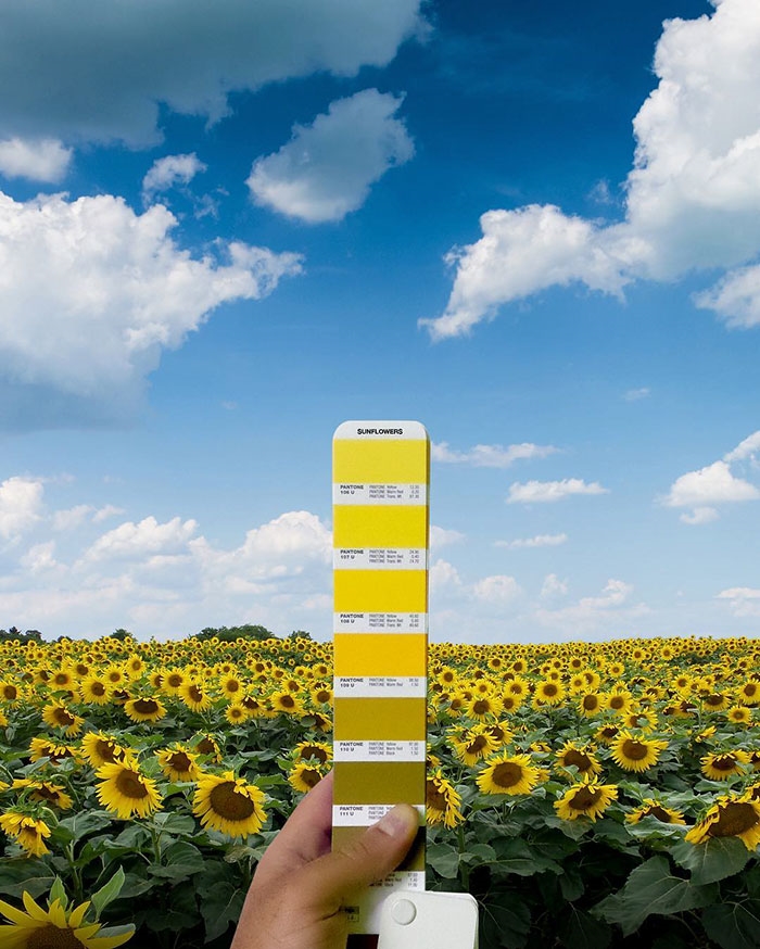 pantonepantone-colors-landscape-photography-andrea-antoni-30-59196da518c71__700
