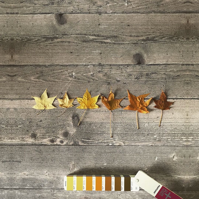 pantonepantone-colors-landscape-photography-andrea-antoni-54-59196ddf3b4ae__700