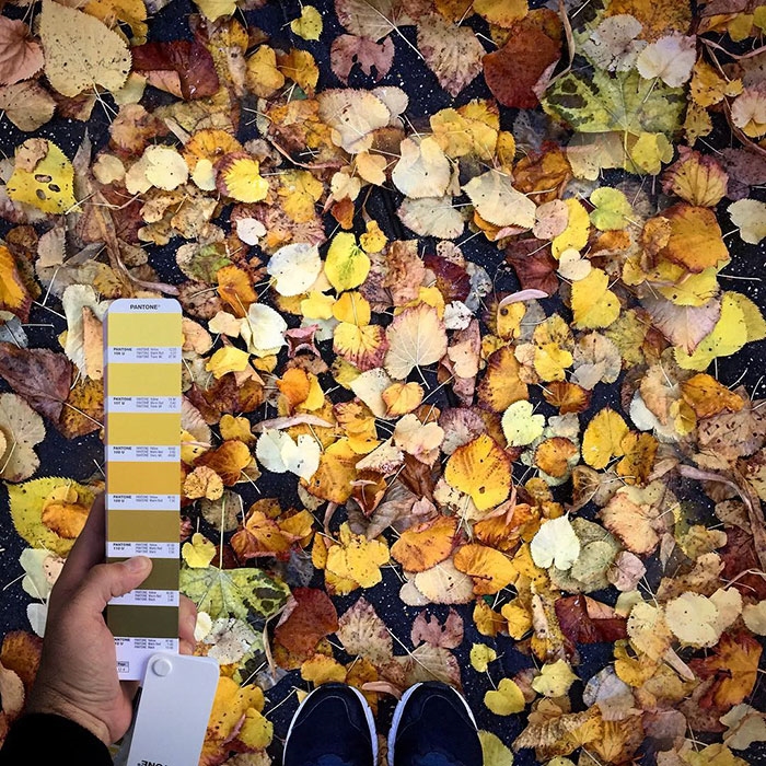 pantonepantone-colors-landscape-photography-andrea-antoni-57-59196de693b1d__700