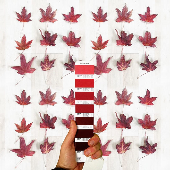 pantonepantone-colors-landscape-photography-andrea-antoni-59-59196dea69a62__700