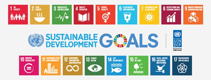 undp4