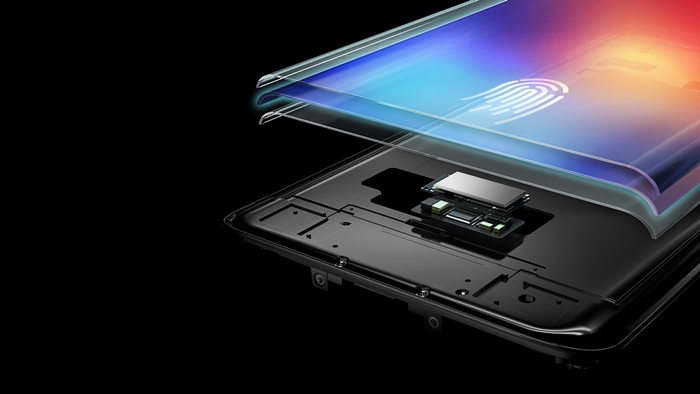 VIVO_1