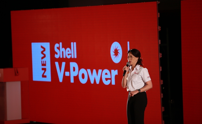Shell_2