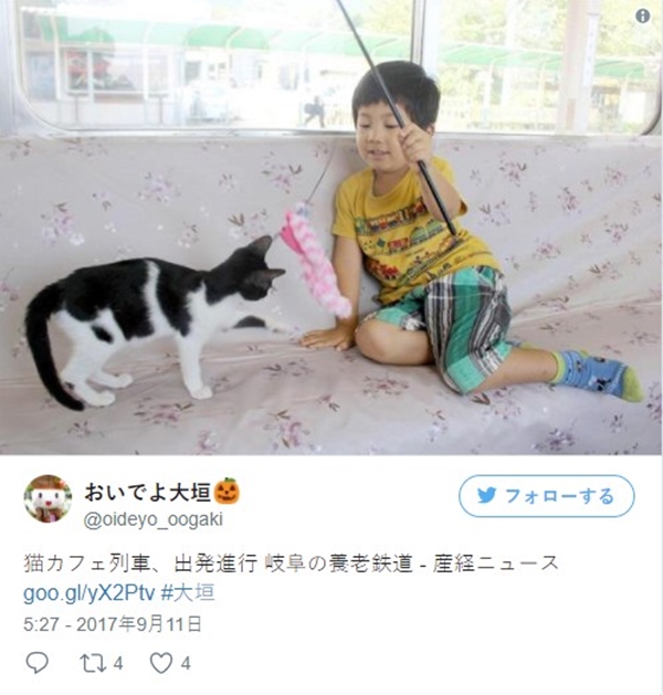 cat2