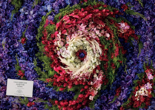 close-to-nature-flowers-hurricane-justin-2000-31698