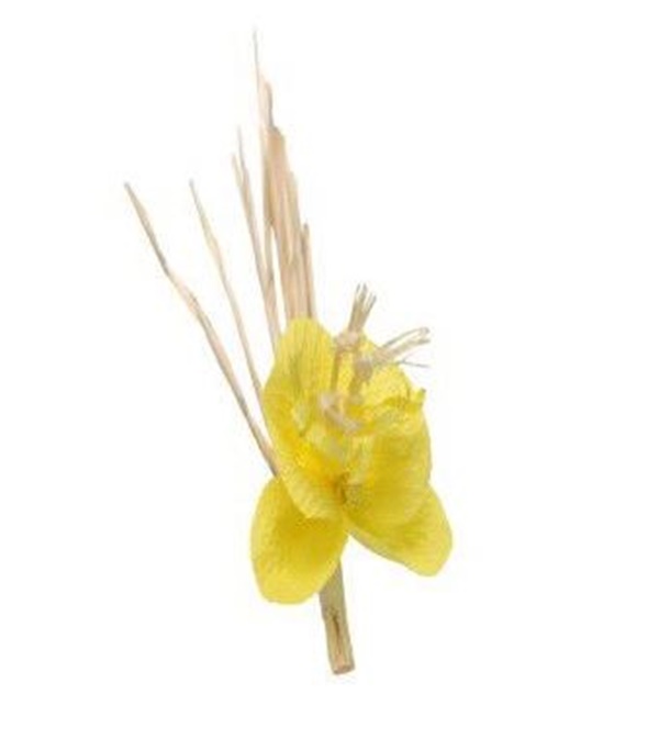5orchid