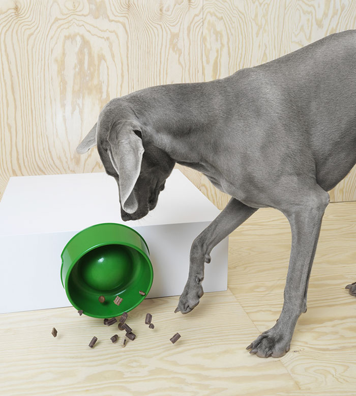 ikea-cats-dogs-collection-lurvig-11-59db1b125a4bd__700
