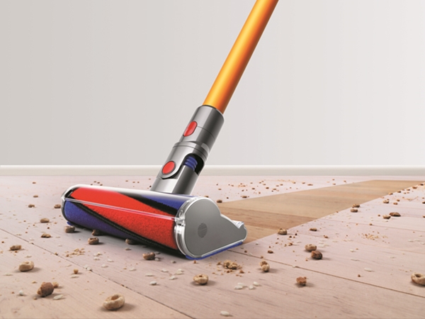 Dyson 22