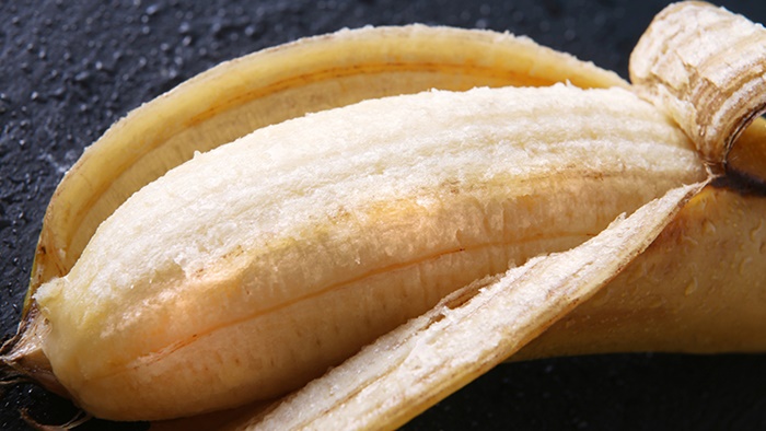 4019