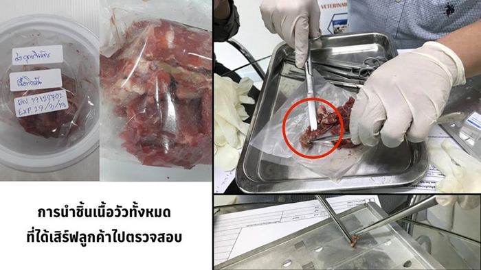 meat1