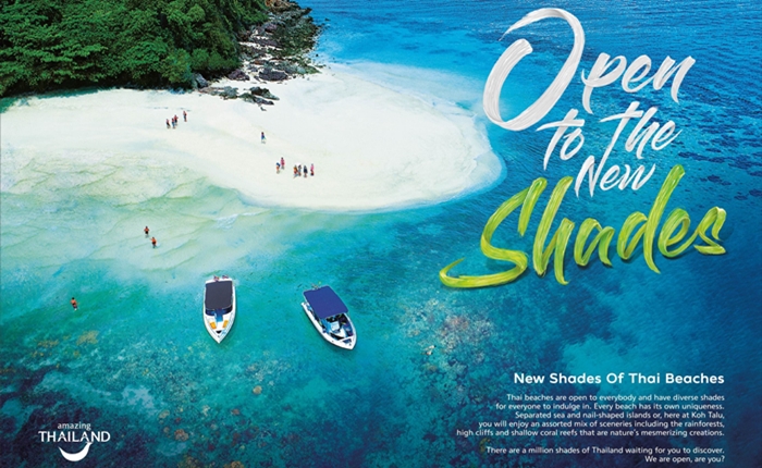 OpenToTheNewShade ok1
