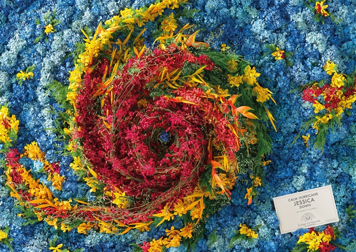 close-to-nature-flowers-hurricane-jessica-2000-92919