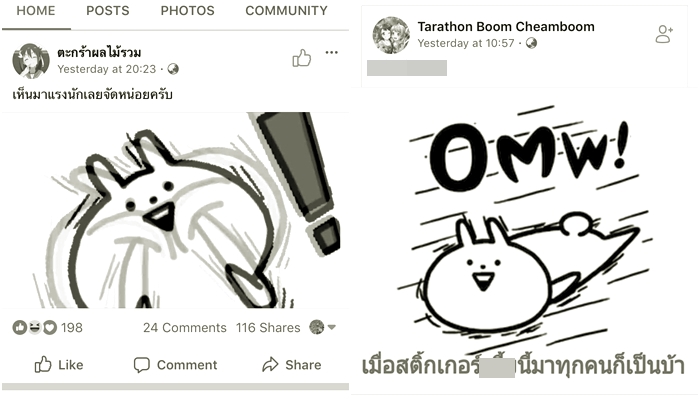 rabbit3