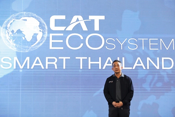CAT PH