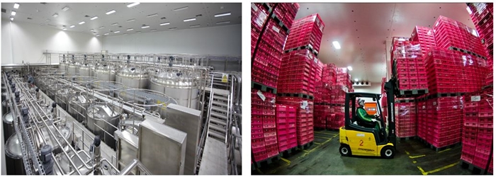 Resize Betagen Plant_02