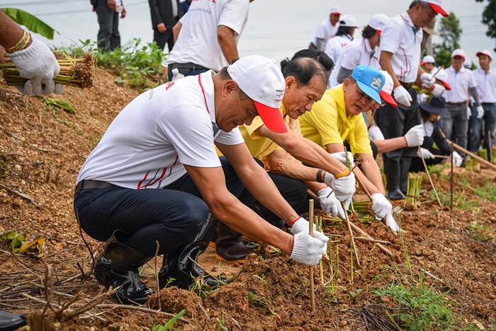 นายพิทักษ์ พฤทธิสาริกร,คุณพิบูลย์ หัตถกิจโกศล ผู้ว่าราชการจ.ปราจีนบุรี ร่วมปลูกหญ้าแฝก