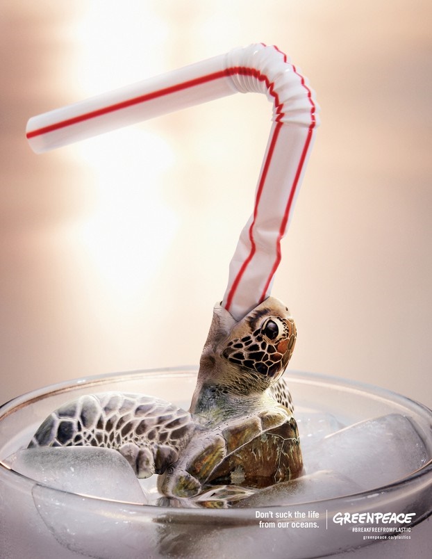 Turtle_Greenpeace_Final_Print_3-622x804