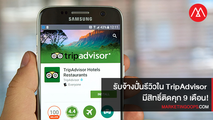 tripadvisor2