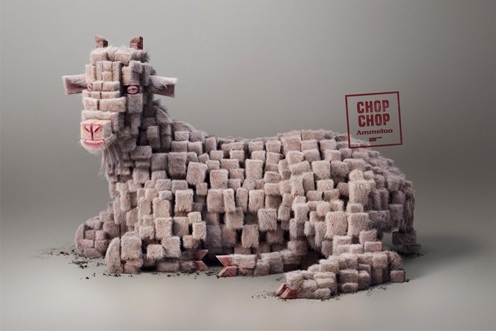 sheep_2600