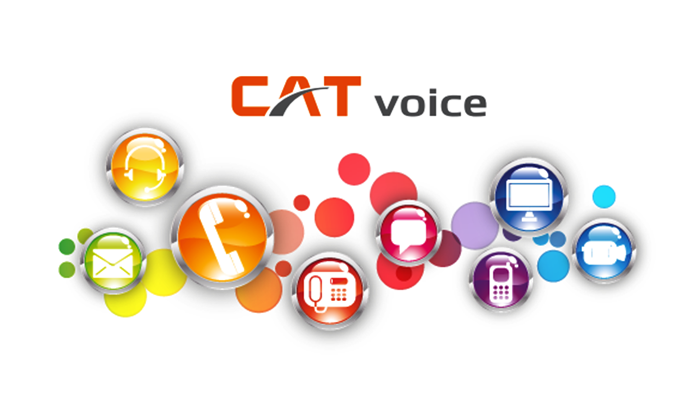 CAT_1