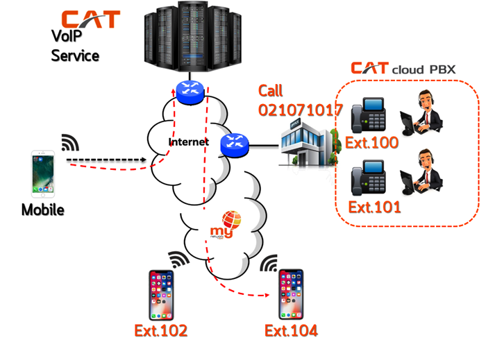 CAT_4