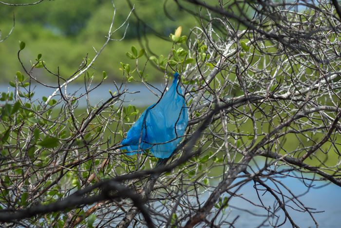 Plastic Bag_01