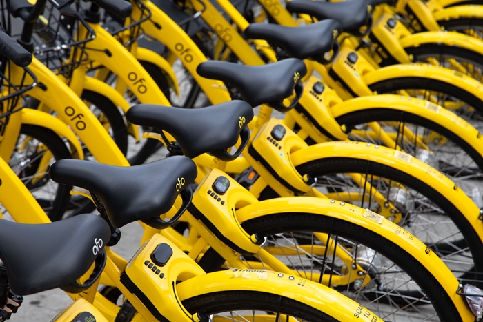 ofo bike-sharing2