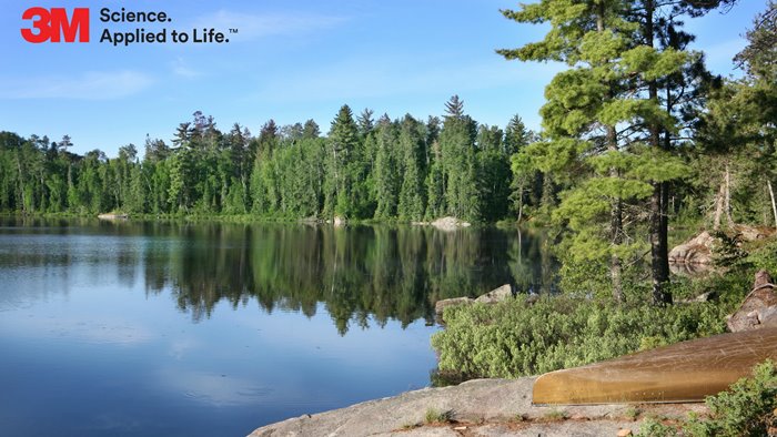 Beautiful Summer Morning on a Wilderness Lake