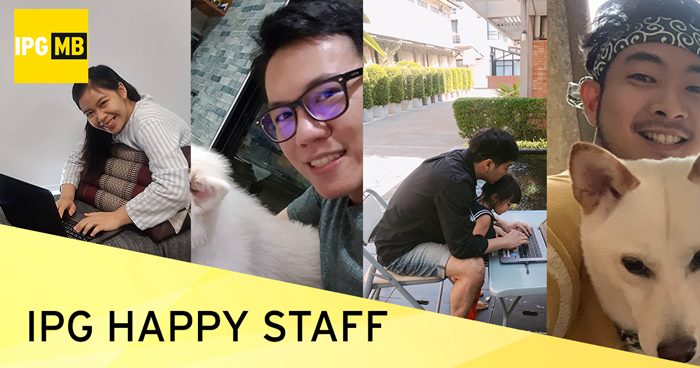IPG HAppy Staff หนีฝุ่นมาหนุนหมอน