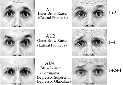 The-Facial-Action-Coding-System-decomposes-facial-expressions-into-component-actions-The