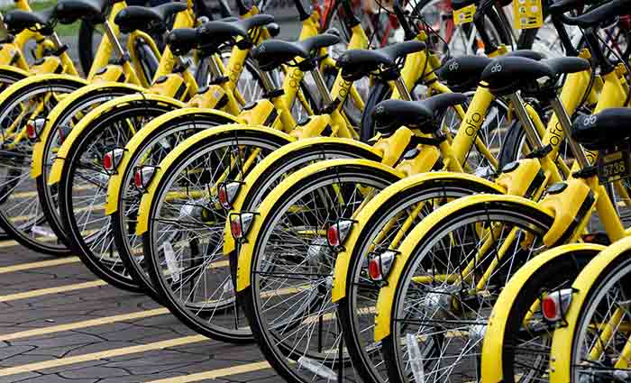 ofo-case-study-6