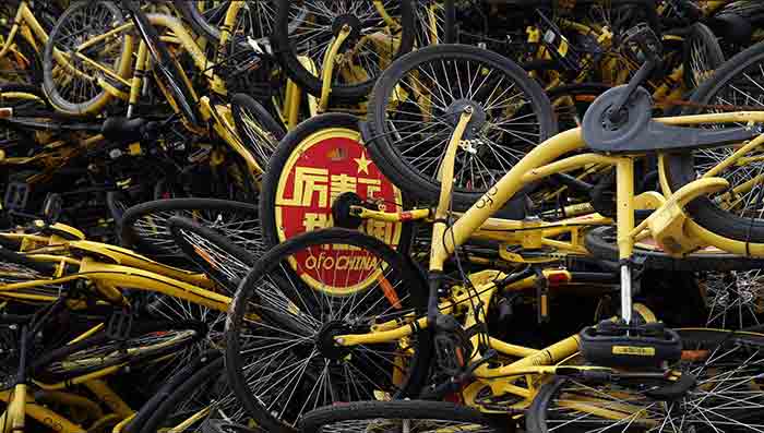 ofo-case-study-7