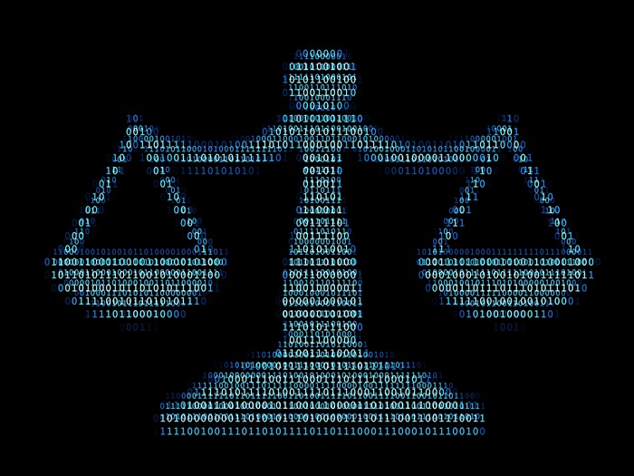 cyber-law