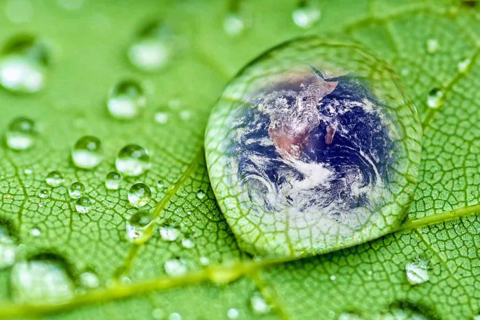 Environment