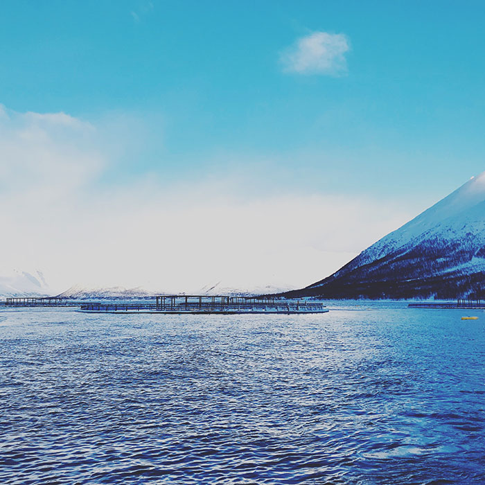 Norwegian Seafood Council - Salmon Farm