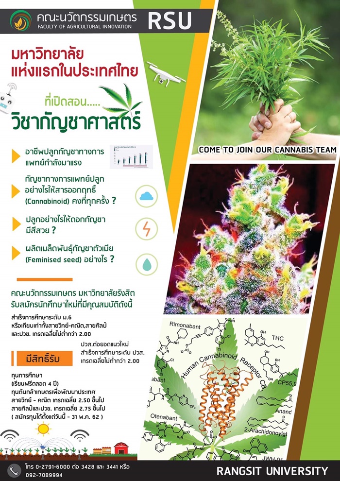 รายละเอียด กัญชาศาสตร์